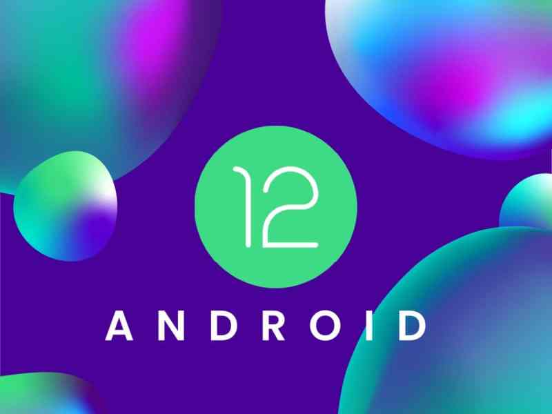 Das Logo von Android 12
