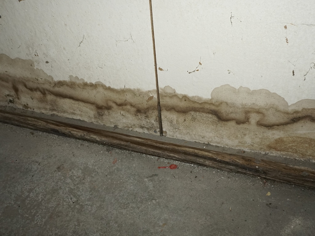 Wasserschaden an einer Wand.