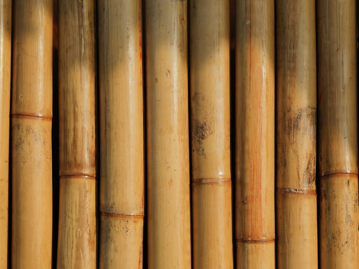 Bambushalme von vorne.