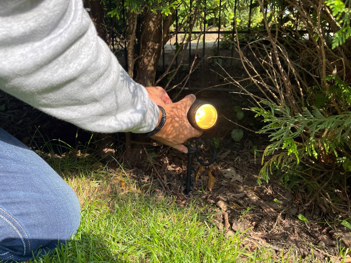 Hand drückt schwarze Gartenleuchte in den Boden