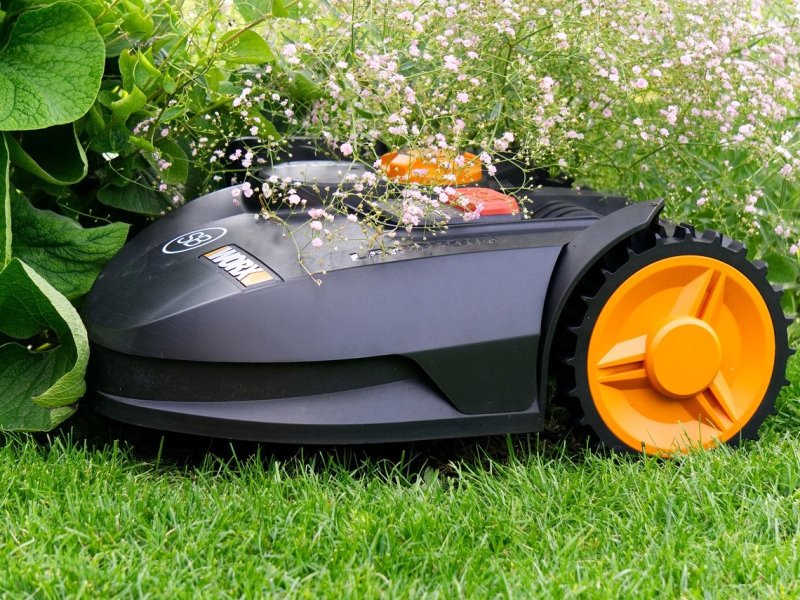 Rasenmähroboter in Aktion