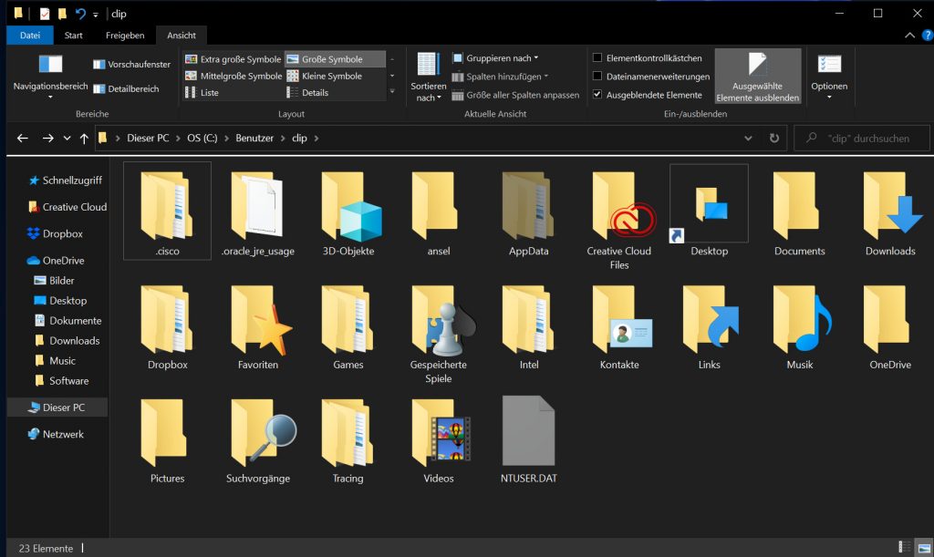 Das Bild zeigt den Windows Explorer