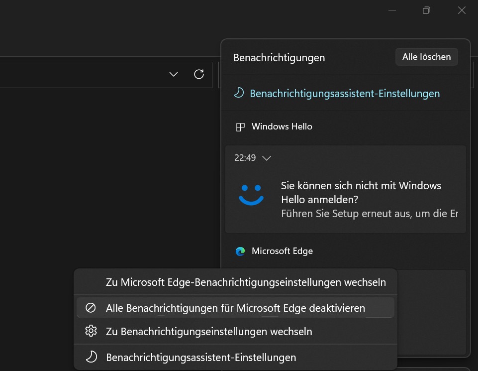 Screenshot von Benachrichtigungen bei Windows 11