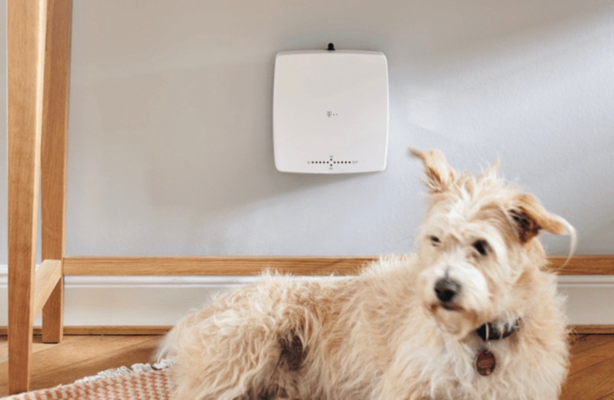 Ein Hund liegt vor einem Router