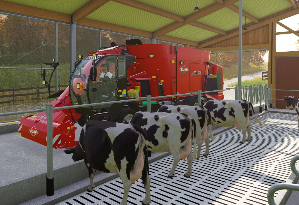 Kühe stehen im Stall in der Reihe mit den Hinterteilen zur Kamera