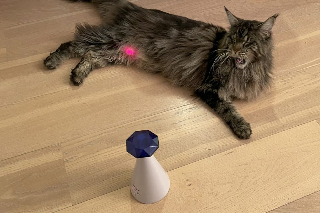 Dunkle Katze liegt auf Holzfußboden vor Gerät