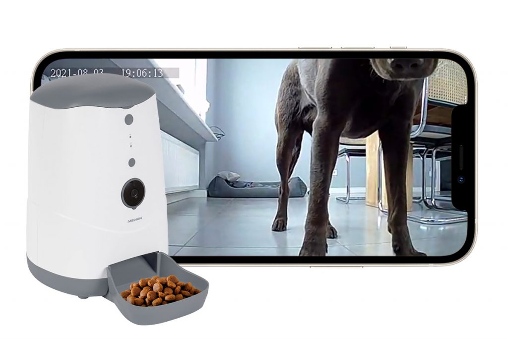 Smartphone quer zeigt Hundebeine, daneben Futterstation