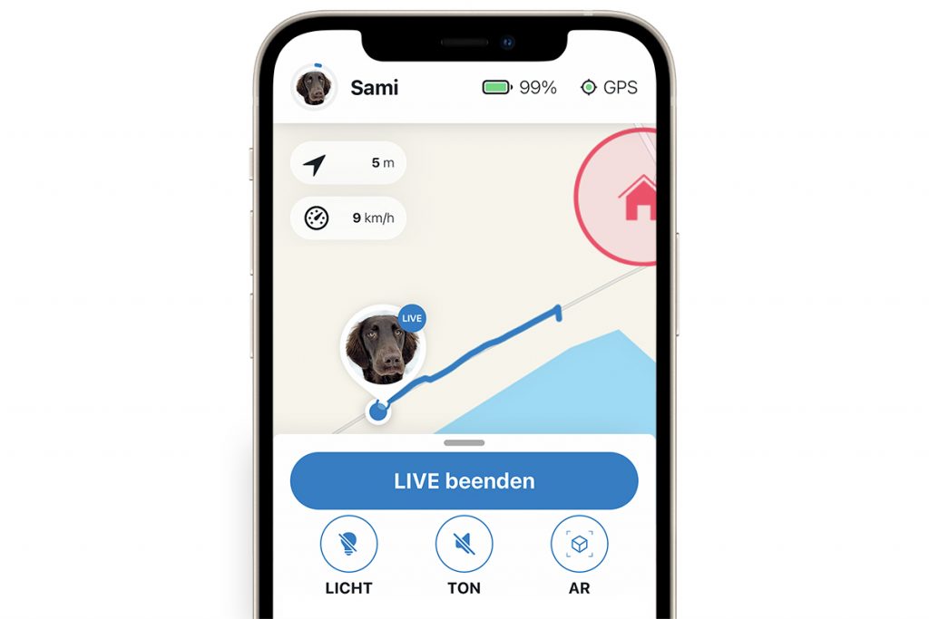 Smartphone zeigt GPS Karte mit Hunde-Standort