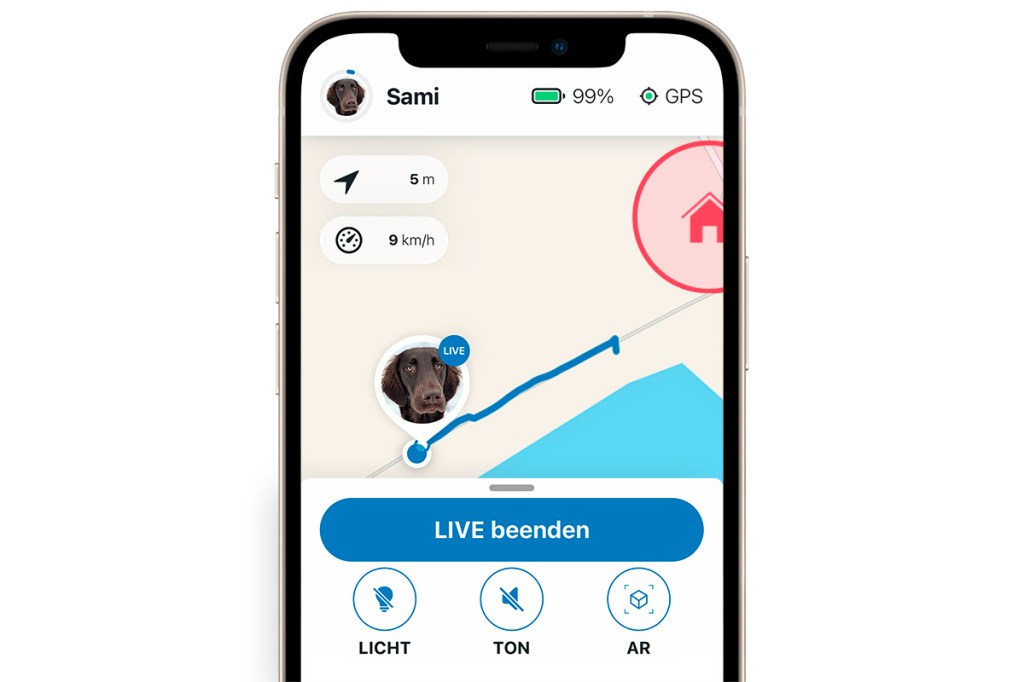 Smartphone zeigt GPS Karte mit Hunde-Standort