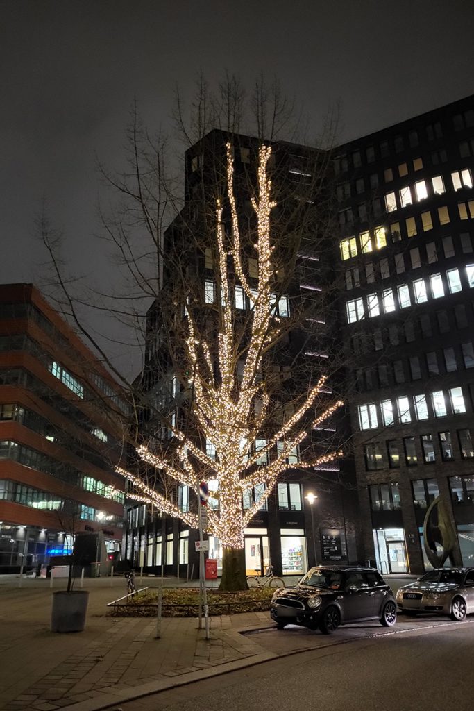 Ein Baum mit Lichterkette