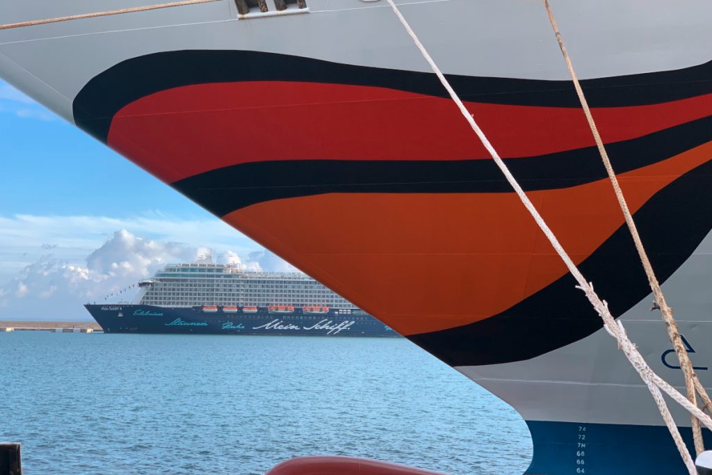 Detail Bug mit rotem Mund drauf; im Hintergrund Wasser mit Schiff
