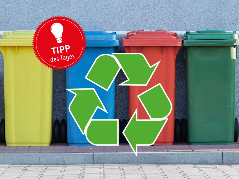 Gelbe, blaue, rote und grüne Mülltonnen Recycling