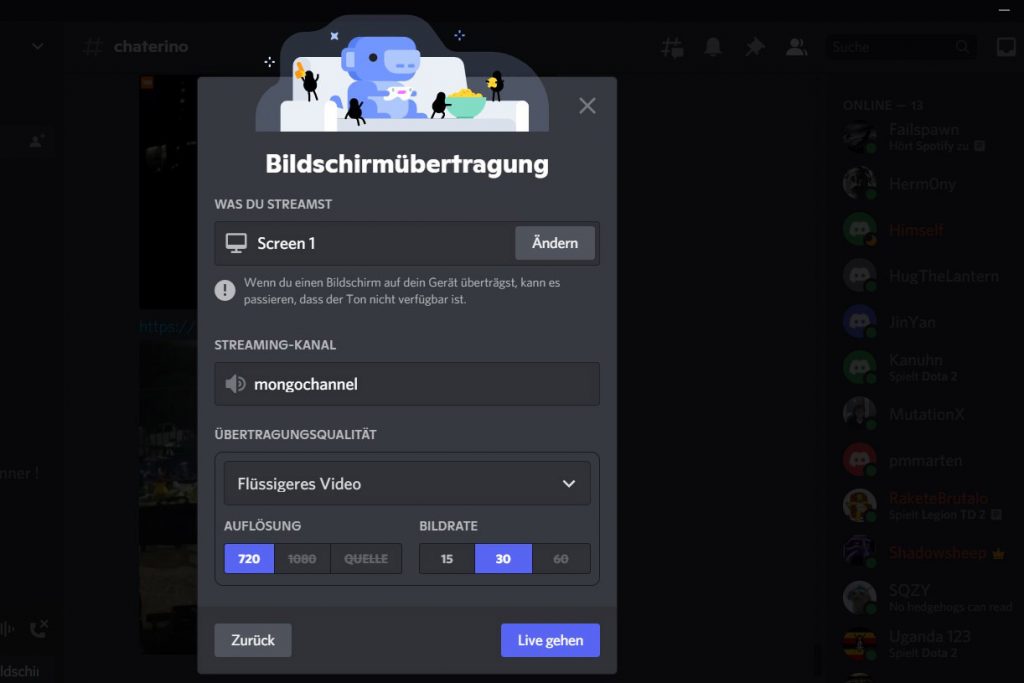 Discord Bildschirmfreigabe