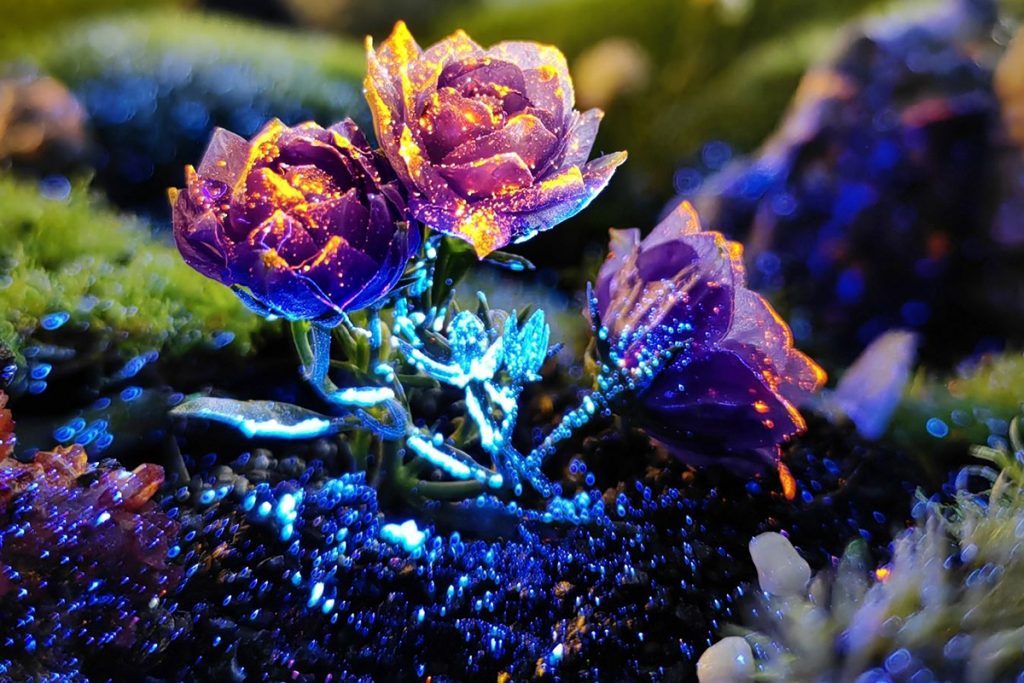 Foto einer Pflanze mit fluoreszierenden Farben