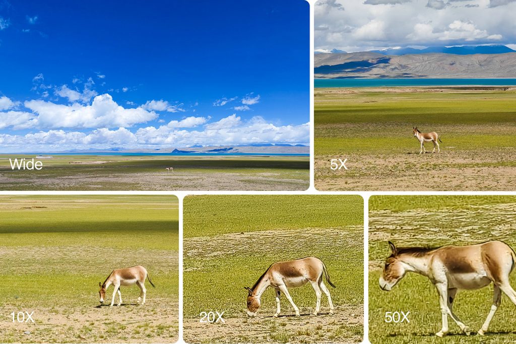 Fotovergleich einer Landschaft mit Esel mit verschiedenen Zoomstufen
