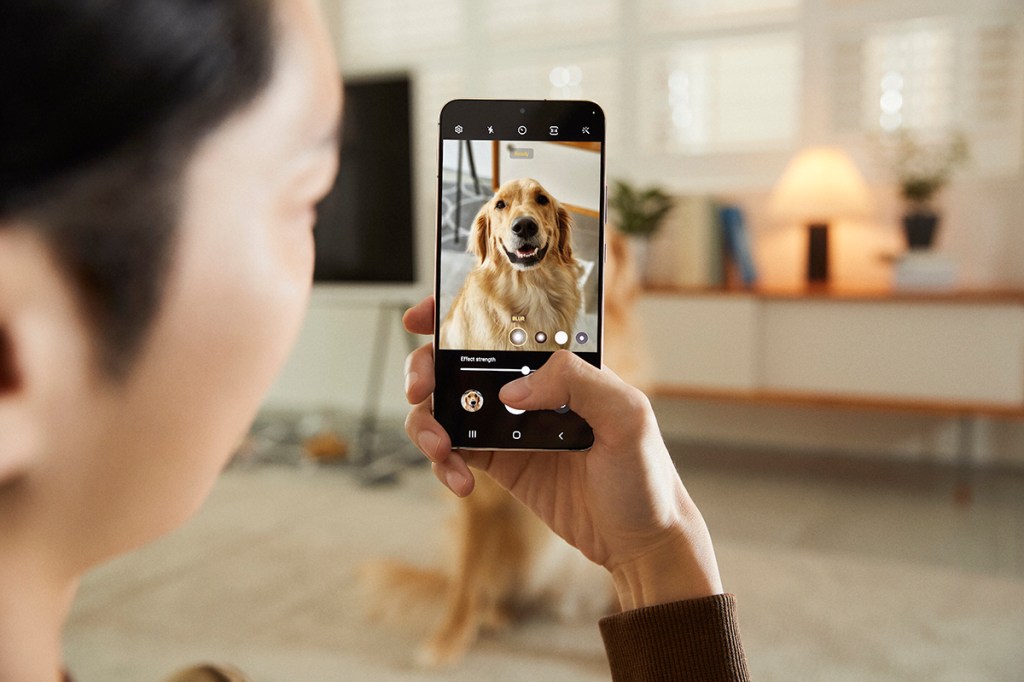 Nutzer fotografiert mit dem S22 einen Hund