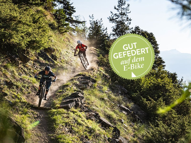 Zwei Mountainbiker fahren in rasantem Tempo einen Bergtrail hinunter
