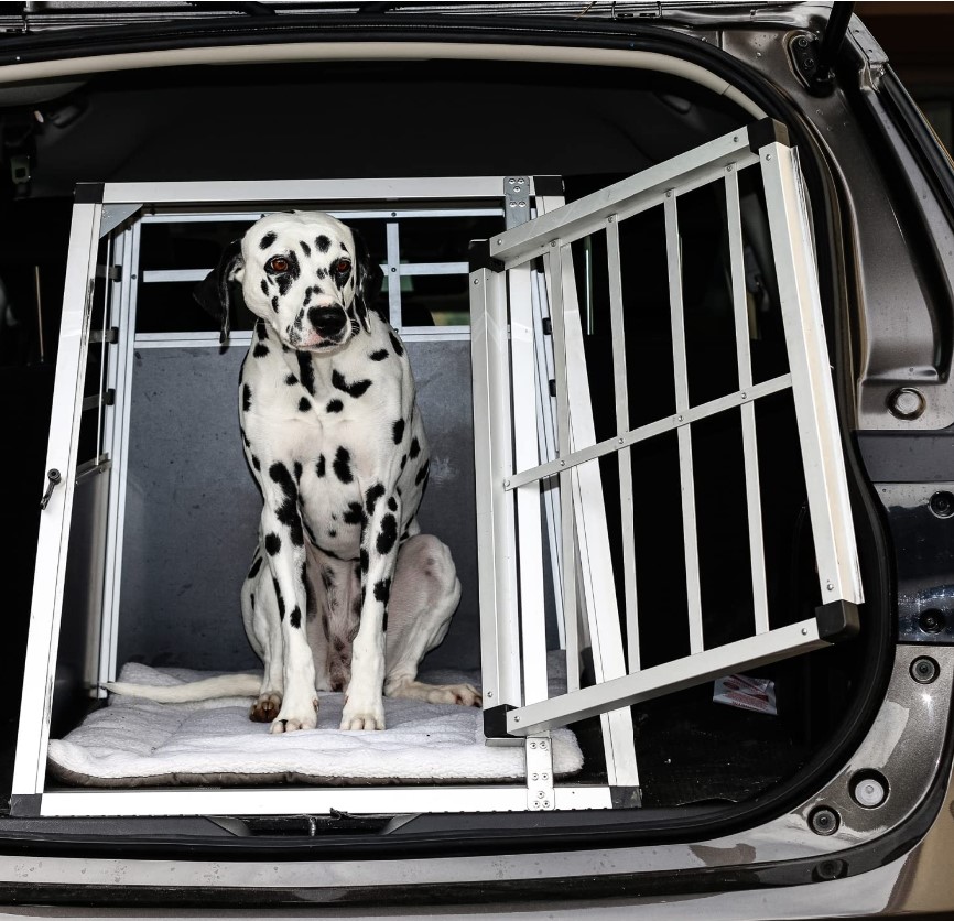 Ein Dalmatiner in einer Hundetransportbox im Kofferraum.