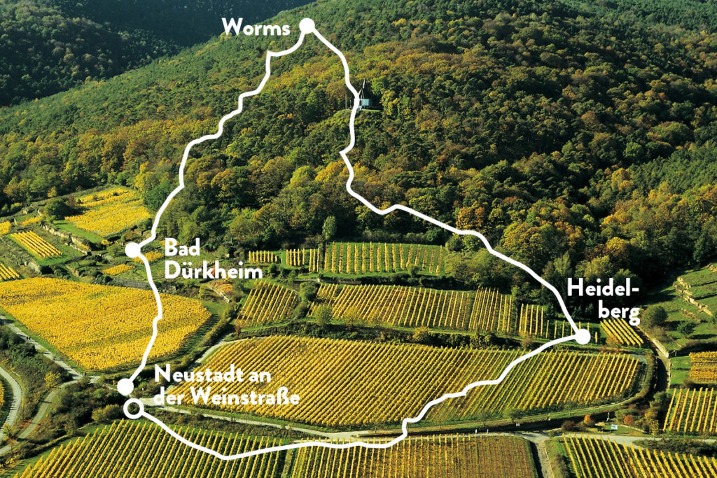 Blick auf Weinberge von oben mit weißer Route