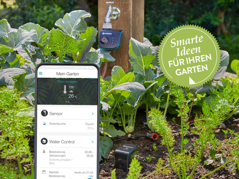 Ein Bewässerungssystem für einen Garten mit einem Handy davor