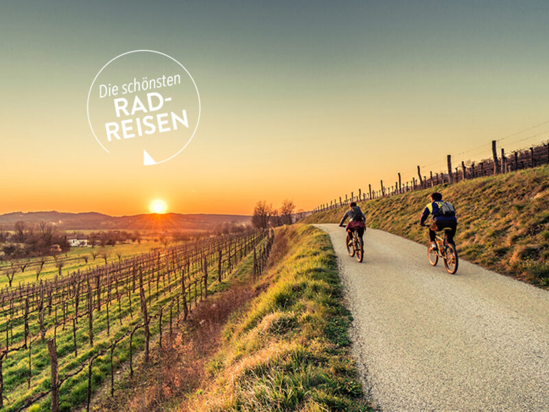 Asphaltstraße bergab zwischen Weinbergen worauf zwei Radfahrer dem Sonnenuntergang entgegen fahren