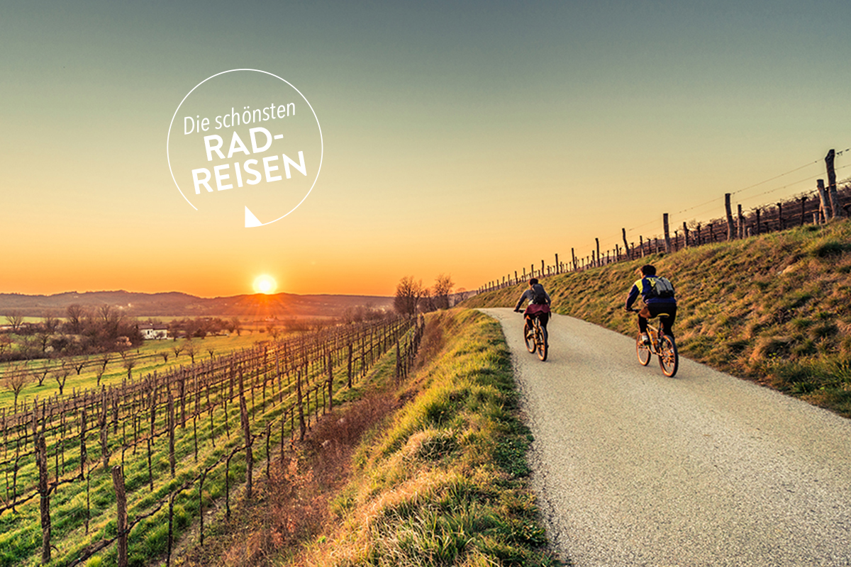 Asphaltstraße bergab zwischen Weinbergen worauf zwei Radfahrer dem Sonnenuntergang entgegen fahren