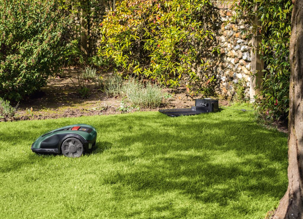 Ein Mähroboter auf einer Wiese