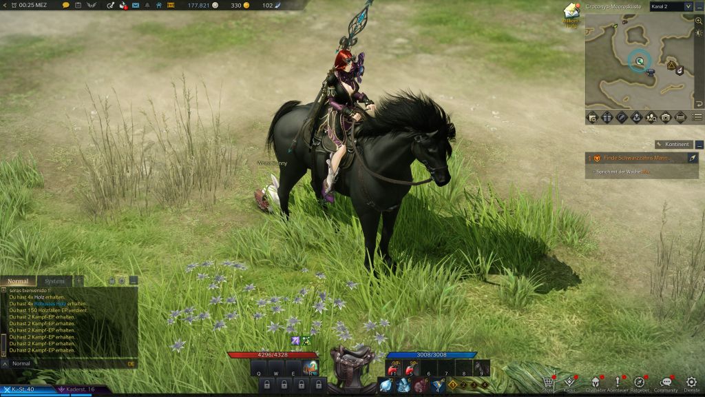 Screenshot Lost Ark Dunkles Pferd mit Figur auf Wiese