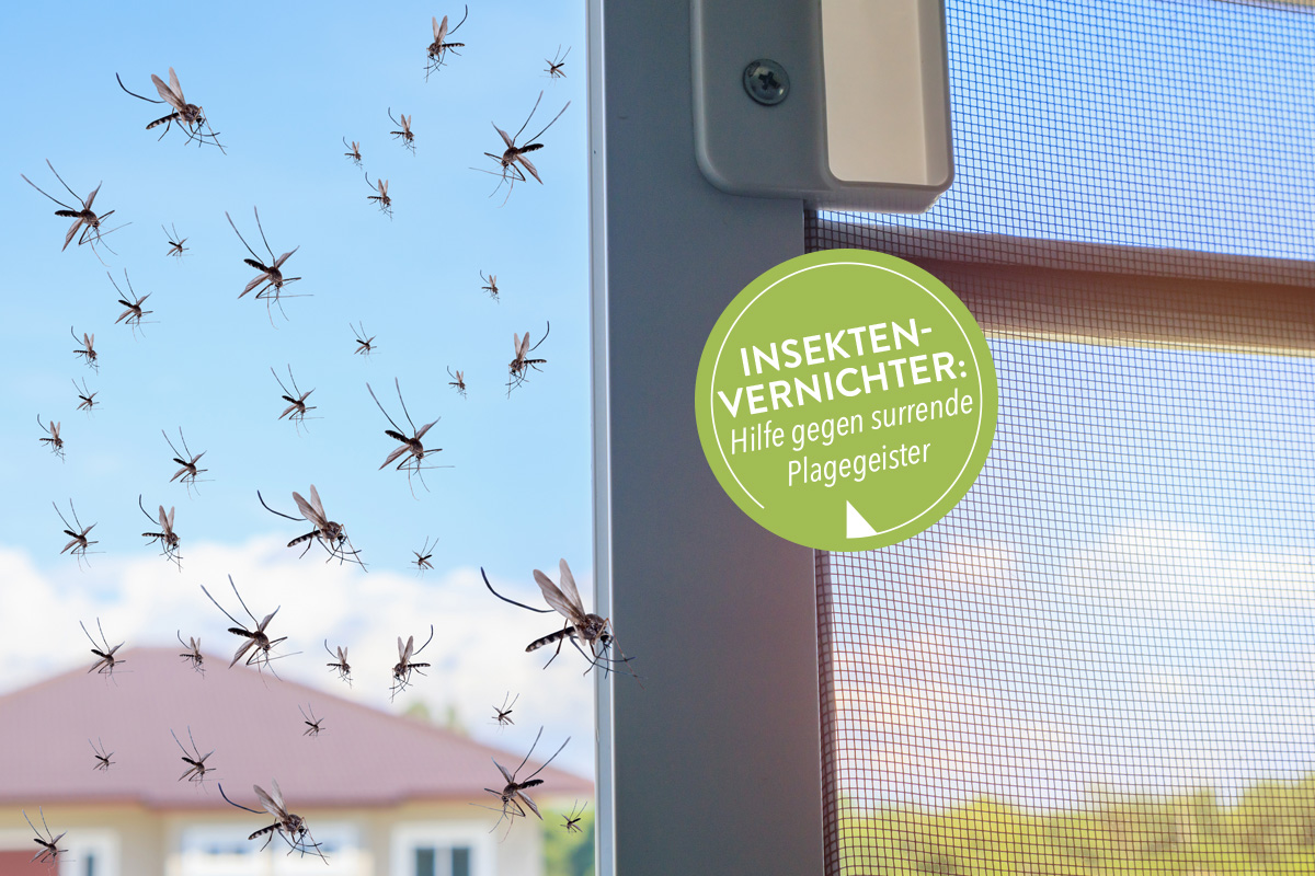 Mücken tummeln sich vor einem Fenster. Per Insektenvernichter sollen sie abgewehrt werden.