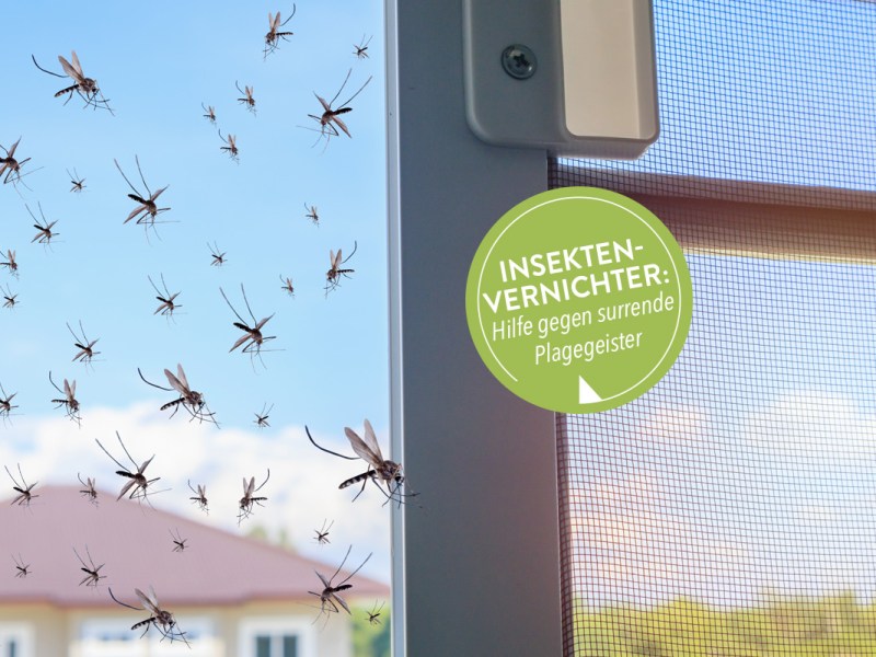Insektenvernichter: Das hilft wirklich gegen Plagegeister