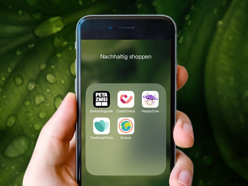 Eine Hand hält ein Smartphone, mit nachhaltigen Shopping-Apps auf dem Display