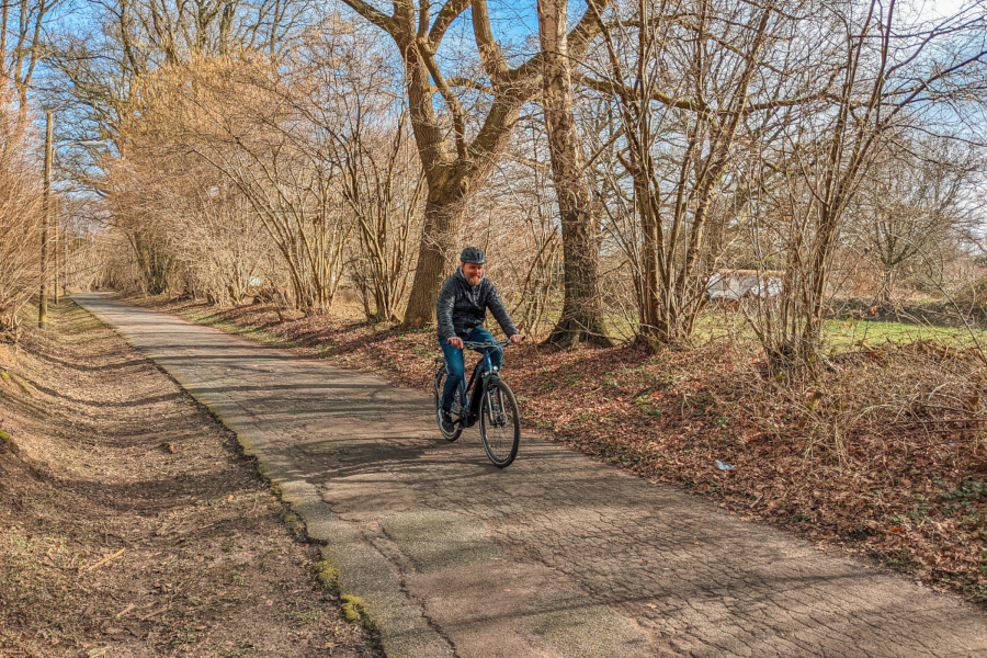 Mann fährt auf Trekking-E-Bike-auf Waldweg
