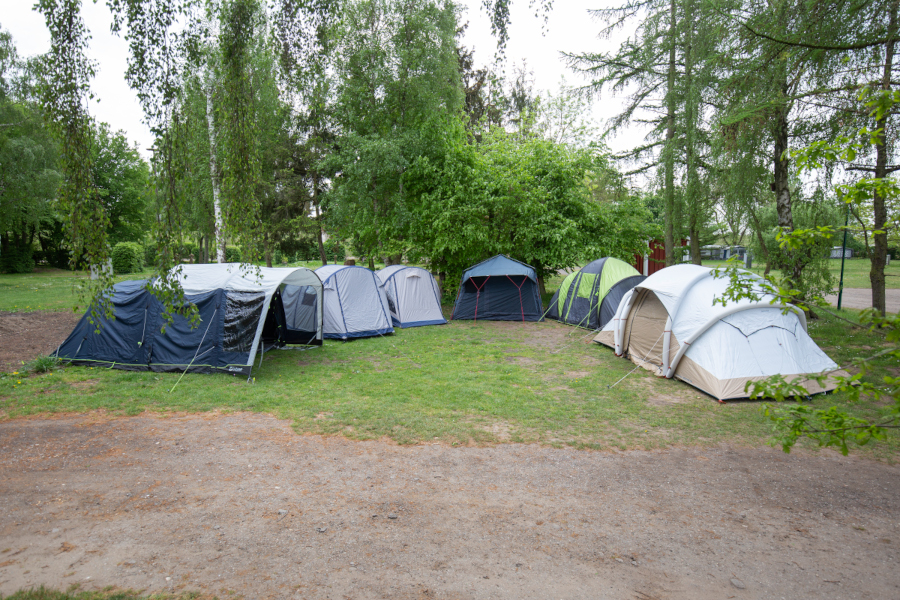 sechs verschiedene Familienzelte im Halbkreist auf Wiese mit Bäumen aufgebaut