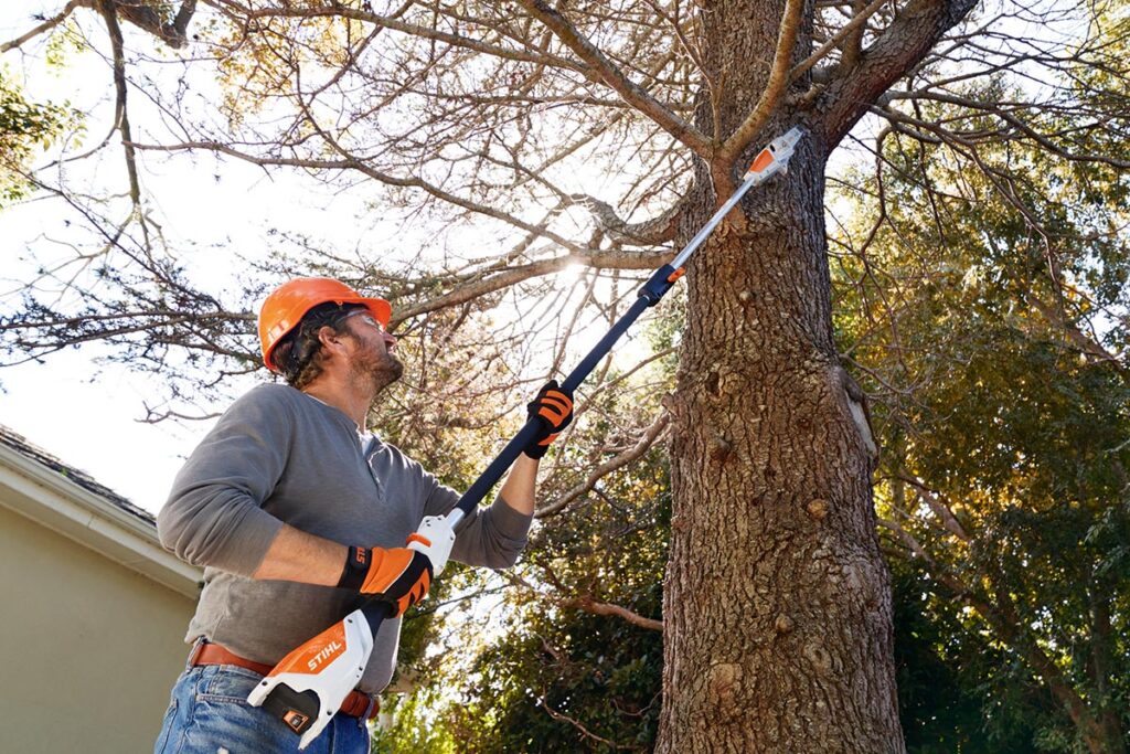 Mann mit Hochentaster an Baum von unten