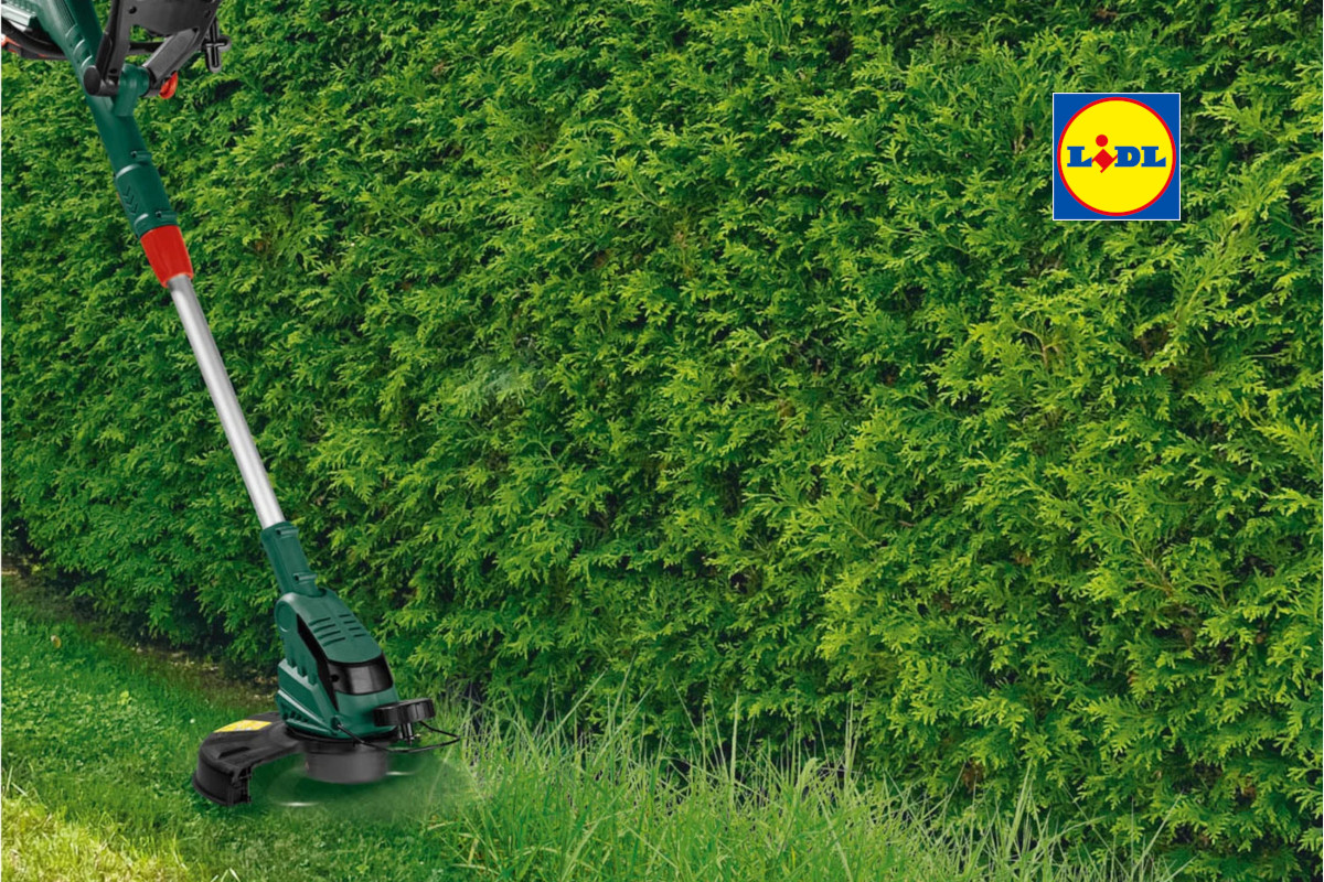 ParksideAkkuRasentrimmer günstig bei Lidl kaufen IMTEST