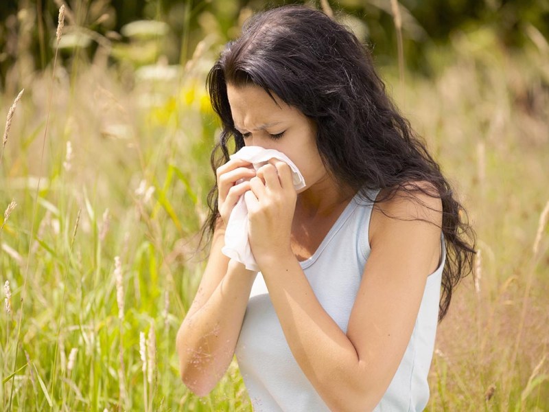 Luftreiniger gegen Pollen-Allergie: Experten-Tipps, Infos