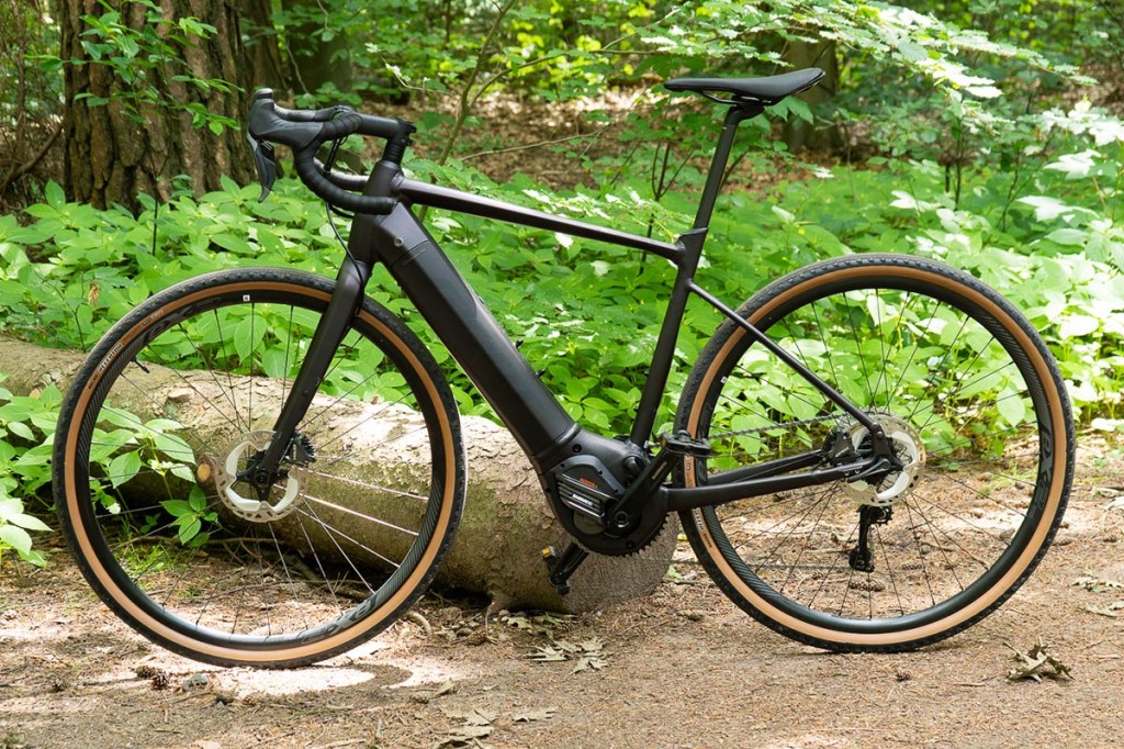 Seitenansicht: E-Gravel-Bike von Giant lehnt an einem Baumstamm im Wald