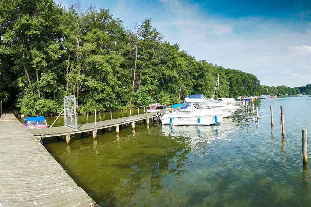 Steg mit Boot an See dahinter Wald