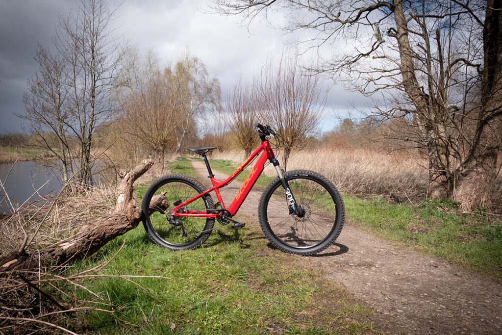 E-Mountainbike für Jugendliche steht an einen Baum gelehnt vor einem Feldweg