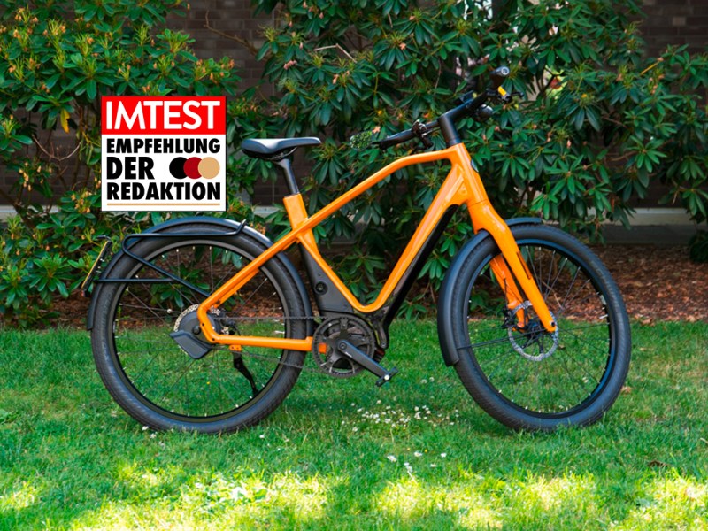 S-Pedelec Gazelle N°1 625 Wh steht auf einer Wise vor einem Waldstück