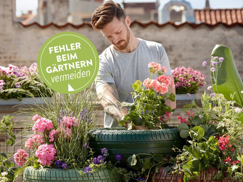 Ein Mann kümmert sich um seinen Hobbygarten