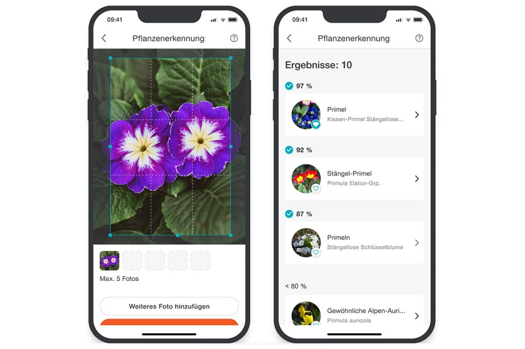 Es sind 2 Smartphones mit der Gardena smart App zu sehen. Auf dem linken ist das Foto einer Blume gezeigt, auf dem rechten die Vorschläge der App für die Pflanzenerkennung..