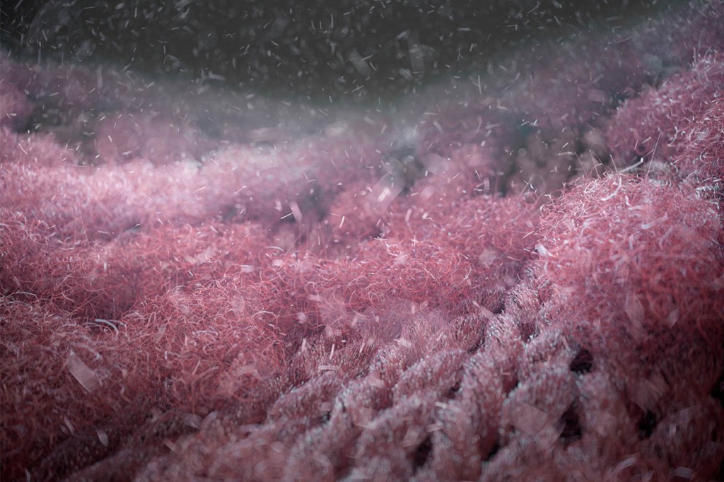 Ein rot-pinkes Gewebe ist in einer Detailansicht gezeigt. Kleine Partikel und Fasern lösen sich im Waschwasser.