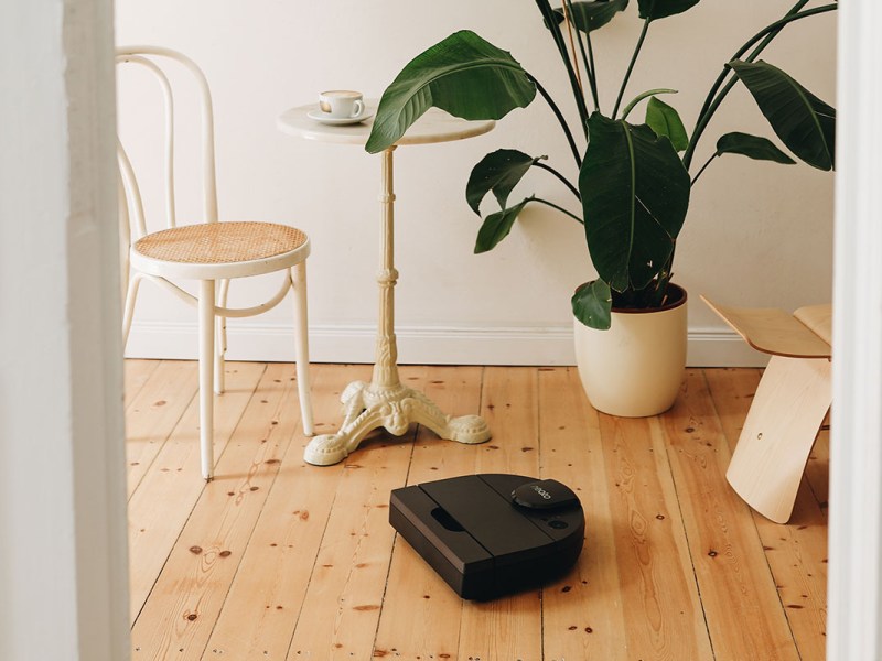 Der Neato D800 Saugroboter fährt in einem Raum mit Holzfußboden, kleinem Tisch, Stuhl und Zimmerpflanze.