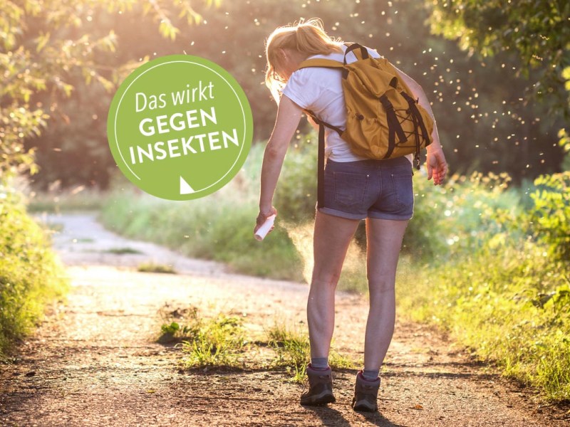 Junge Frau in Shirt und kurzer Hose mit Rucksack von hinten im Wald sprüht sich mit Mückenschutz ein