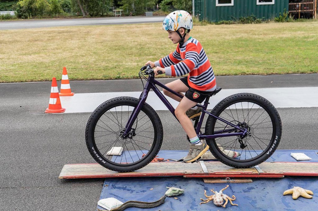 Fahrrad Sicherheit Sicherheitsgurt Kinderschutz Fahrrad Rücksitz  Einstellbar 1m Motorc