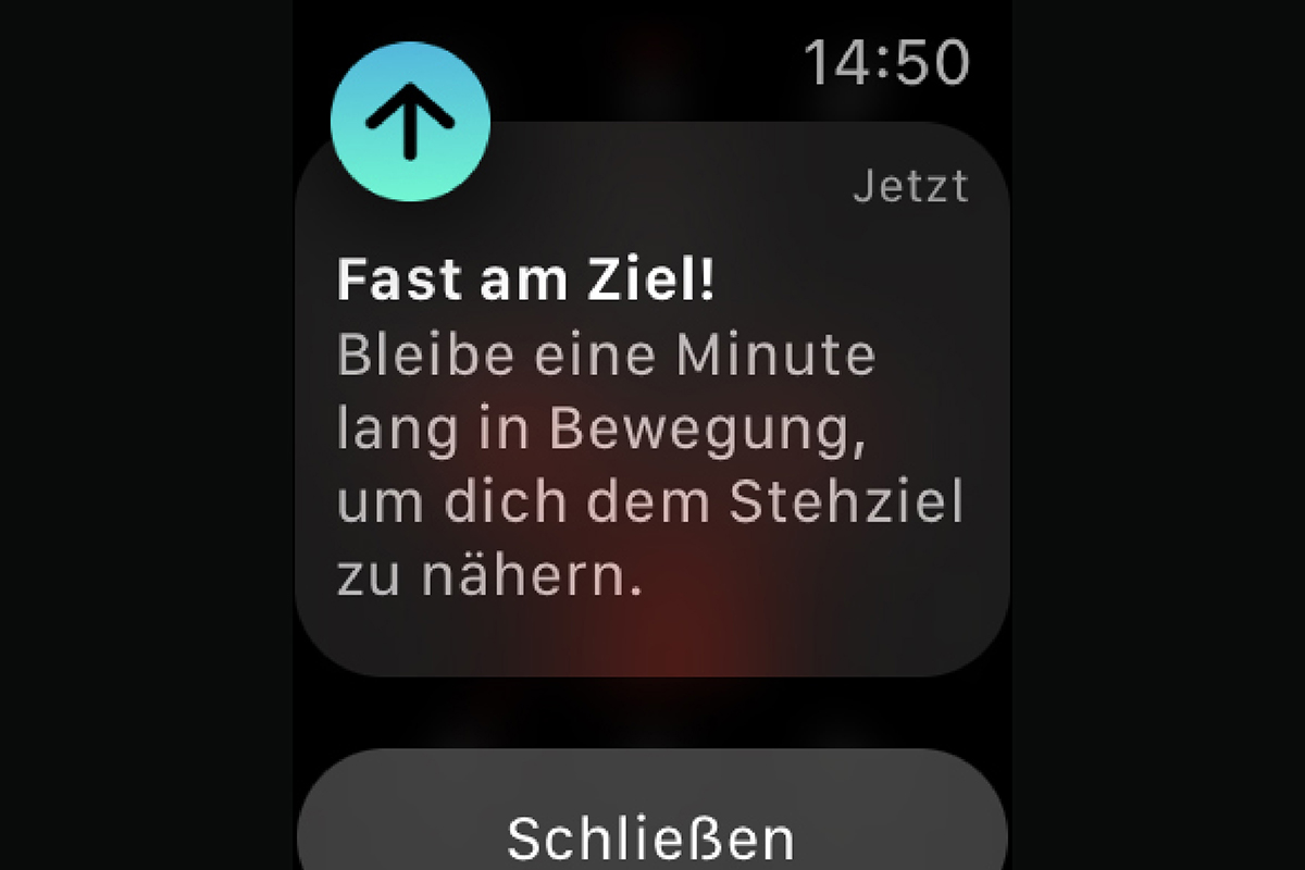 Screenshot Smartwatch Bewegungserinnerung