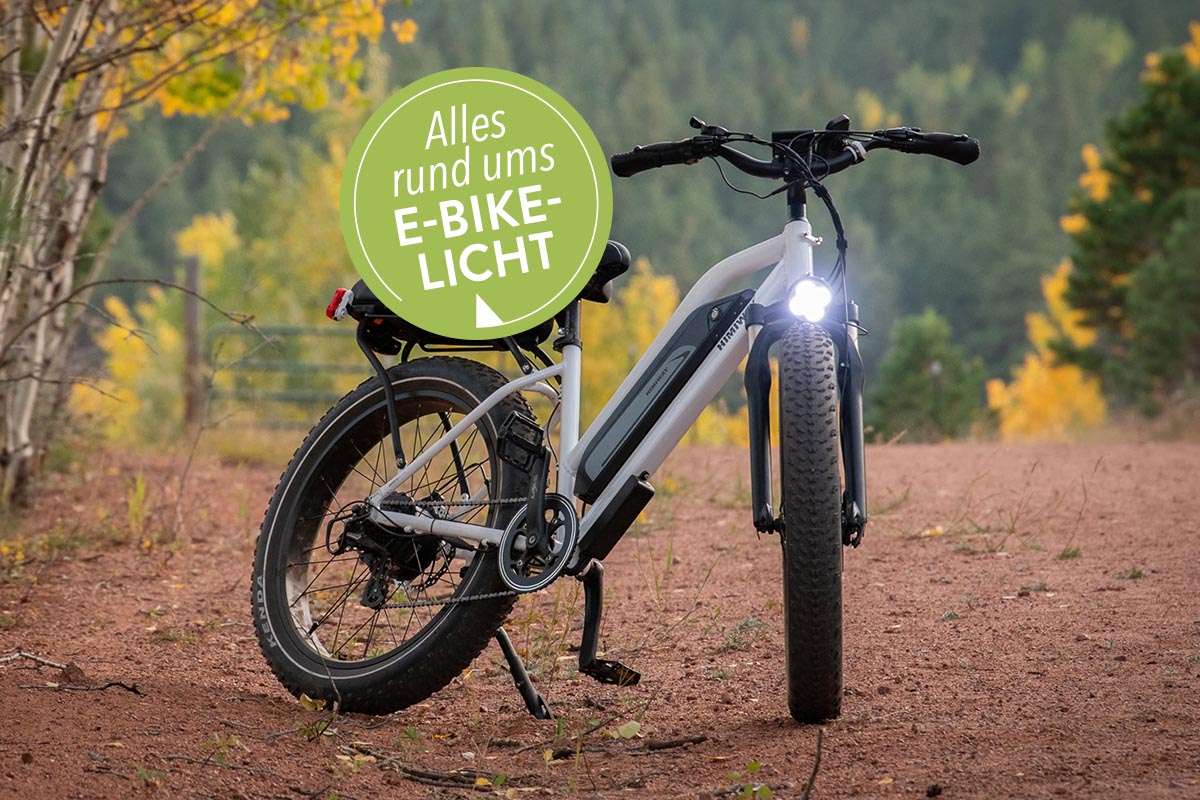 E-Bike steht draußen auf einem Waldboden
