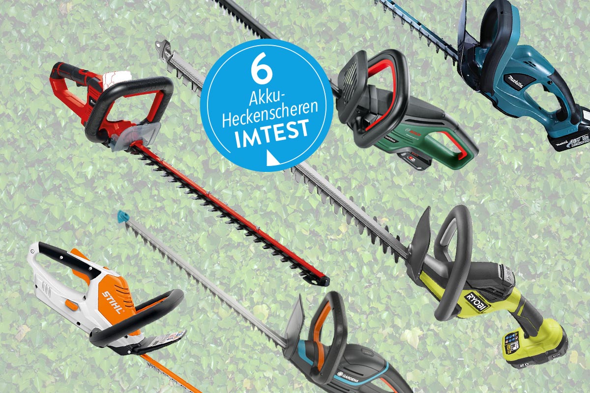 6 AkkuHeckenscheren im Test So schneiden Geräte von TopMarken ab