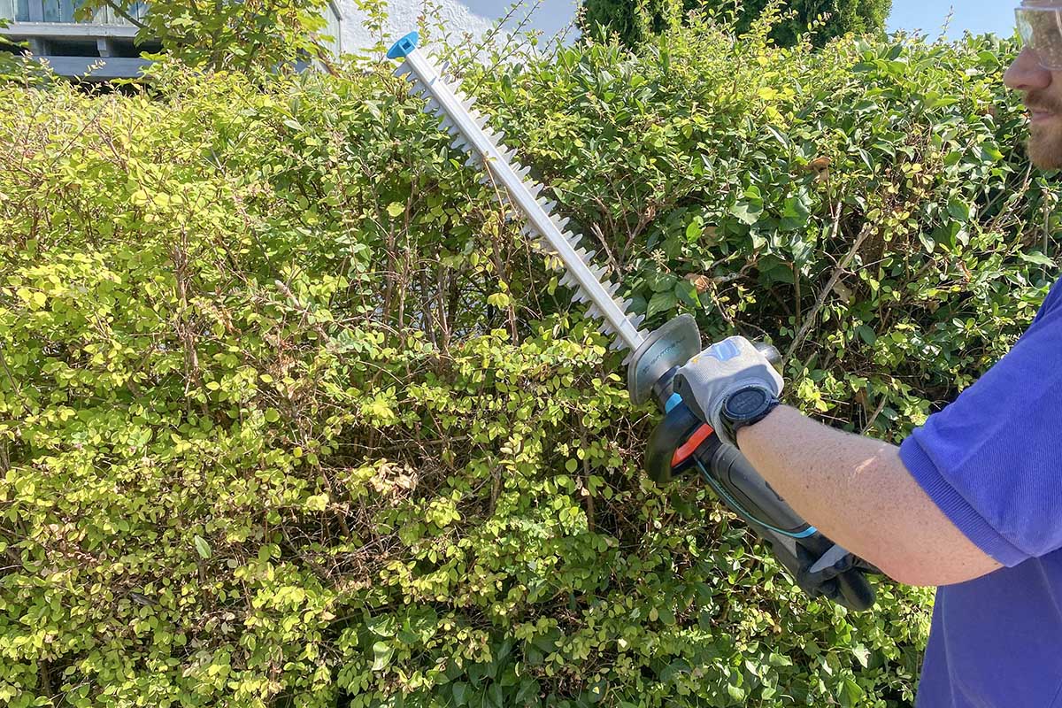 AkkuHeckenscheren im Test So schneiden die TopMarken ab IMTEST